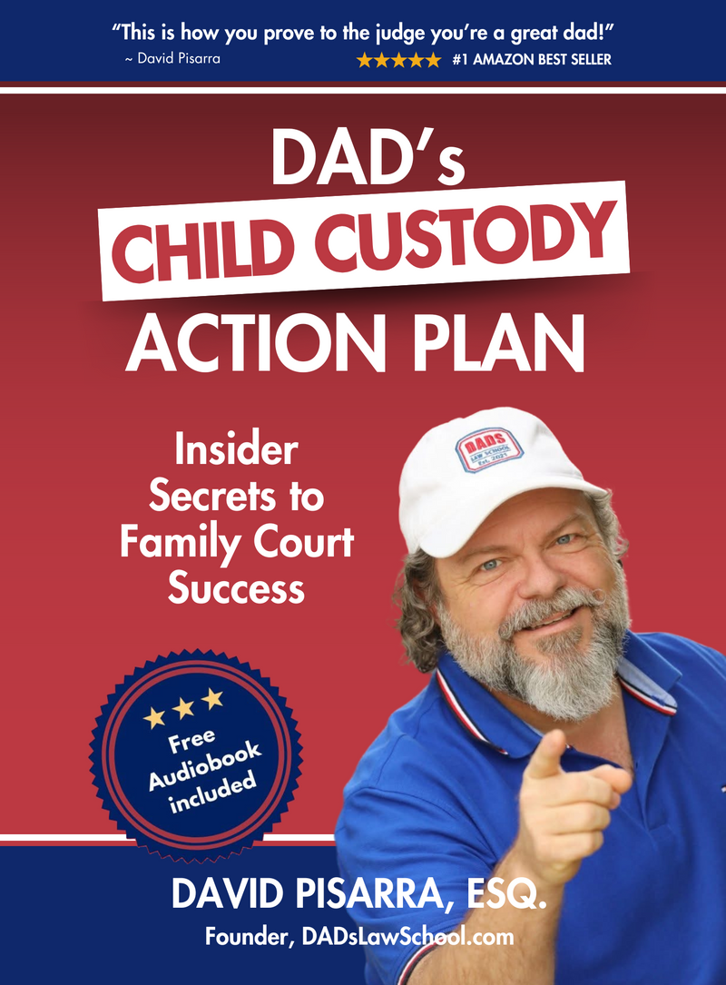 DAD'S CHILD CUSTODY ACTION PLAN