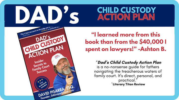 DAD'S CHILD CUSTODY ACTION PLAN